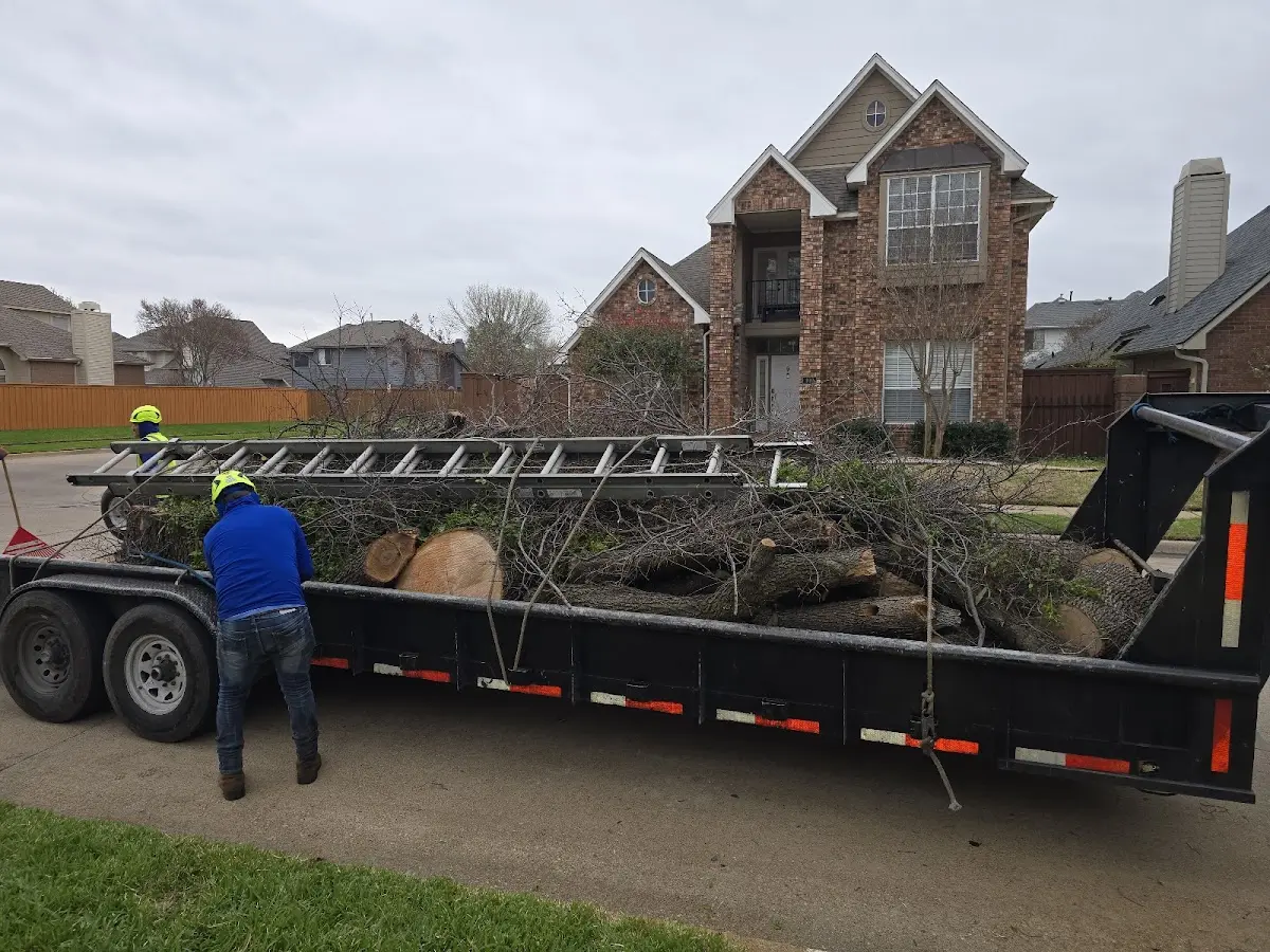 Expert Lot Clearing with proper safety equipment in Sumner
